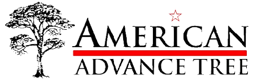 American Advance Tree Logo